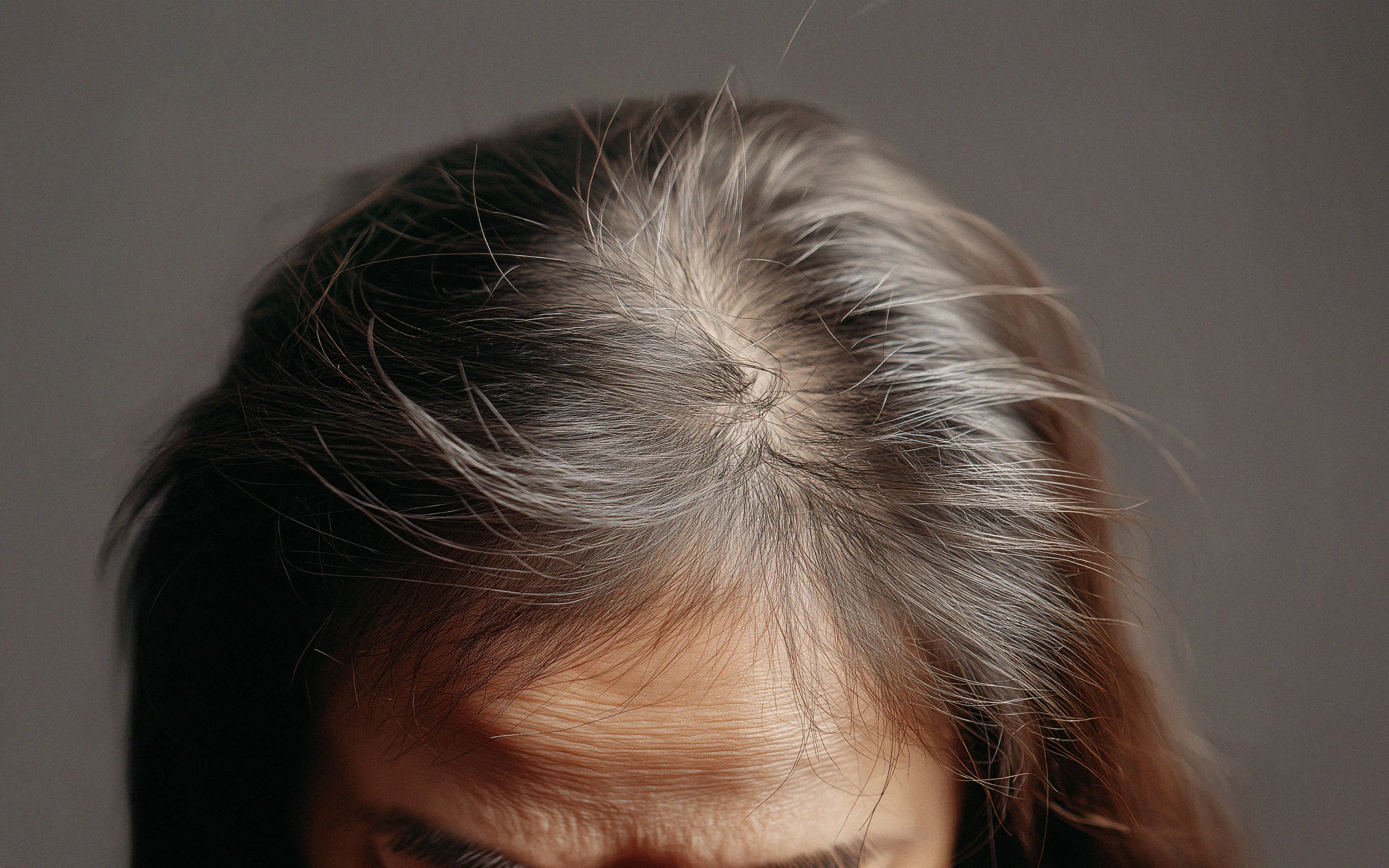 Image by notthoff La Biosthétique Friseur C Perücken Extensions 20